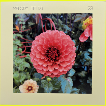 MELODY FIELDS - 1991 LP